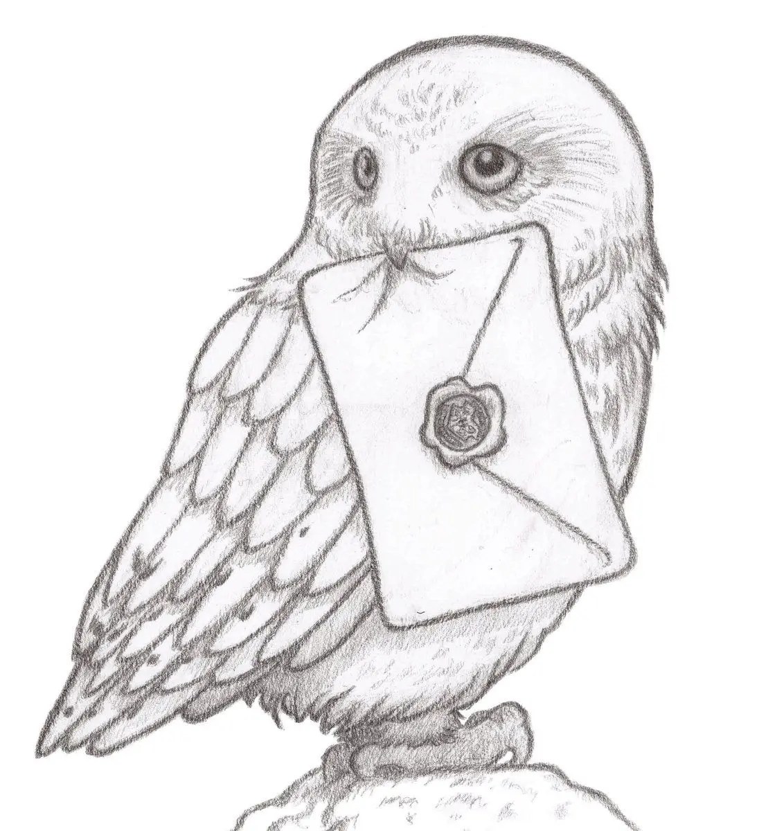 Nov 12 Virtual Hedwig (Harry Potter) Drawing Event Glen Cove, NY Patch