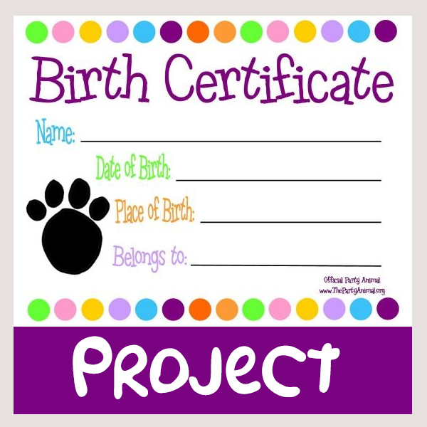 Kids Birth Certificate Project The Patcha Foundation