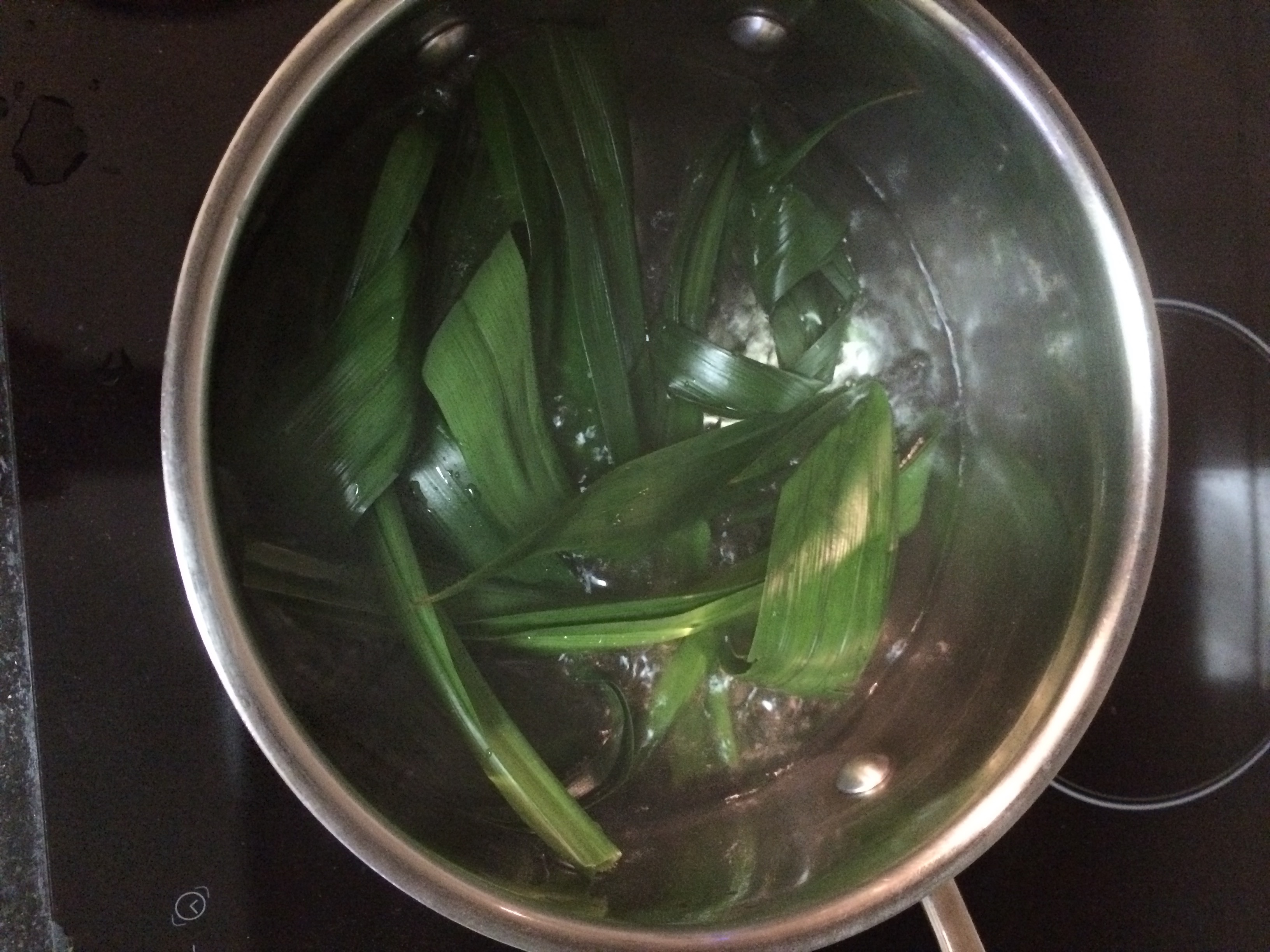 Pandan Leaves Health Benefits Patch of Mine