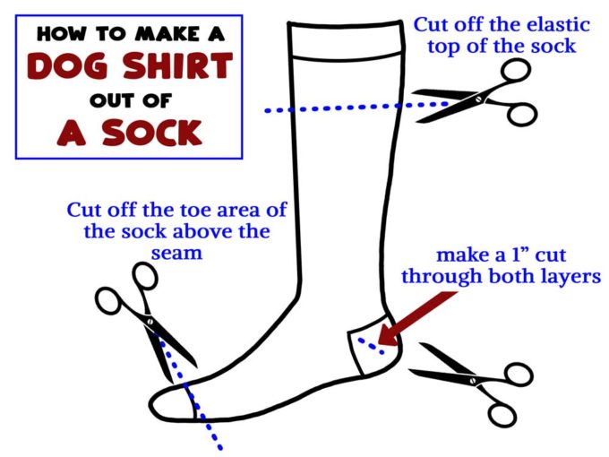 How to Make a Dog Shirt Out of a Sock