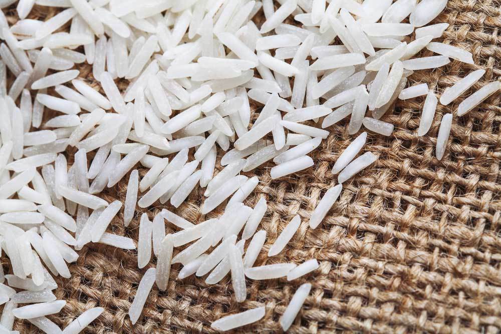 Is Rice Healthy for Dogs?