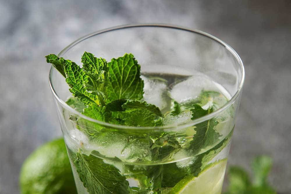 How to Make Mint Water for Dogs?