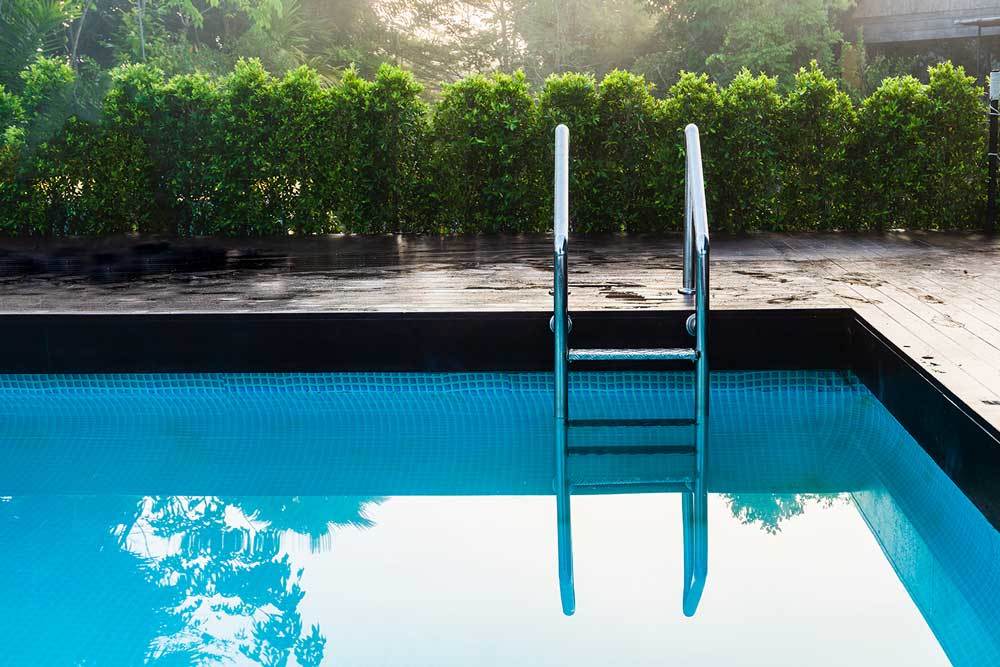 8 Best Dog Pool Ladders