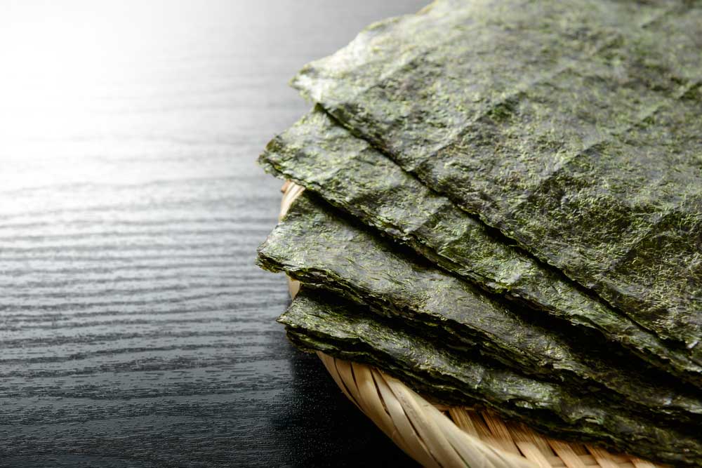 Can Dogs Eat Seaweed Paper?