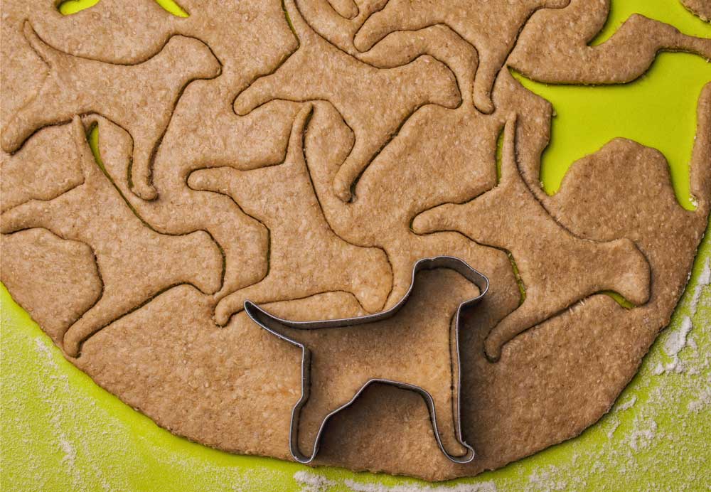 Can Dogs Have White Flour in Treats?