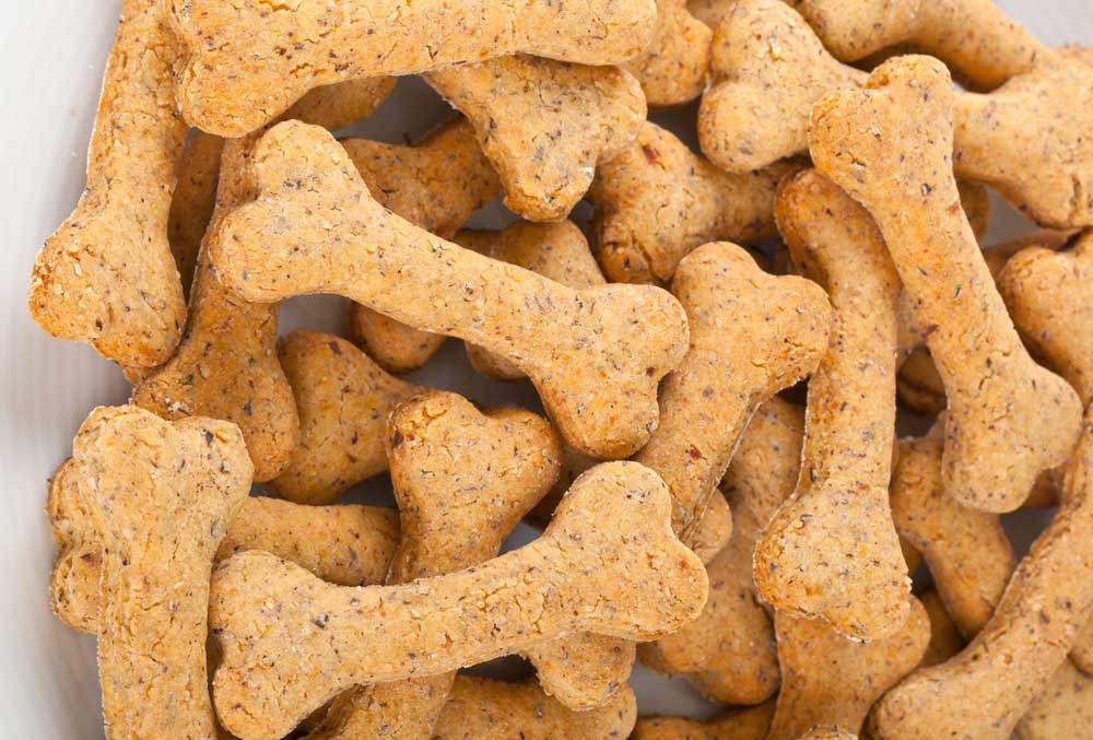 4 Super Long Lasting Dog Treats Recipes