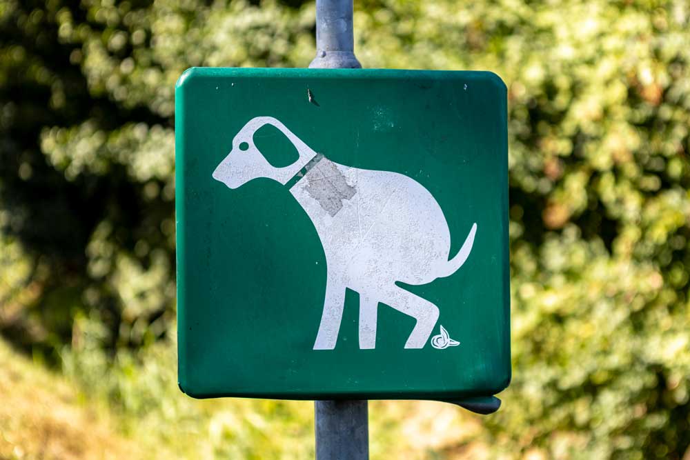 How to Make a Dog Poop Area