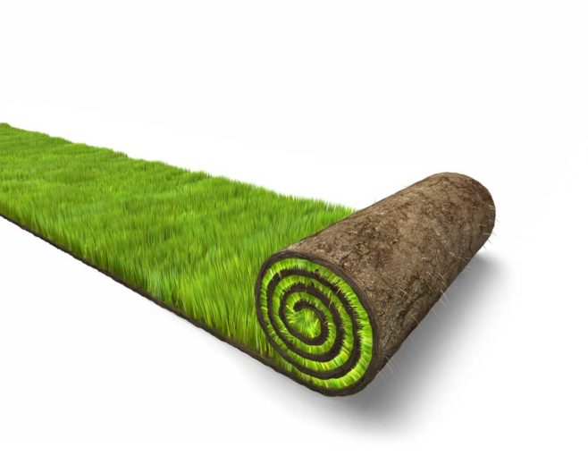 DIY Balcony Dog Potty