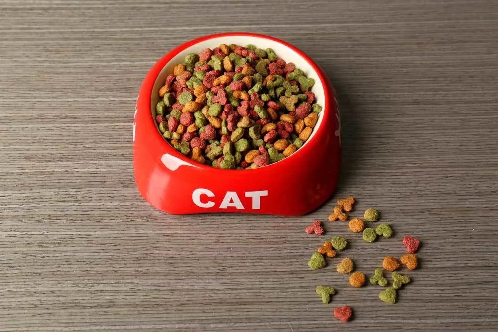 Help! My Dog Ate Cat Food