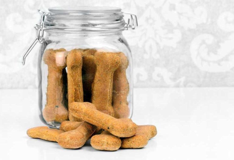 3 Ingredient Homemade Dog Treats