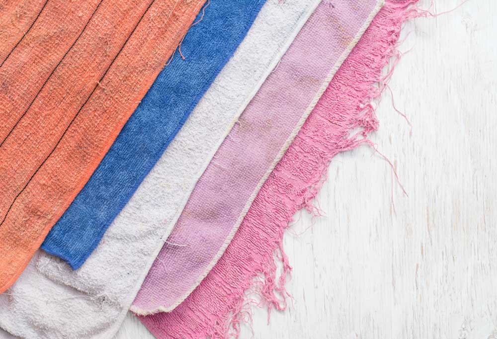 Help! My Old Dog Pees in Their Sleep