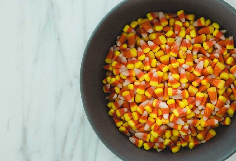 Homemade Halloween Treats for Dogs