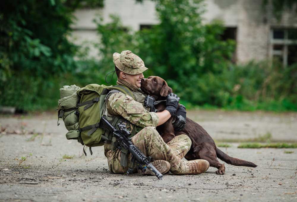7 Military Dog Training Commands