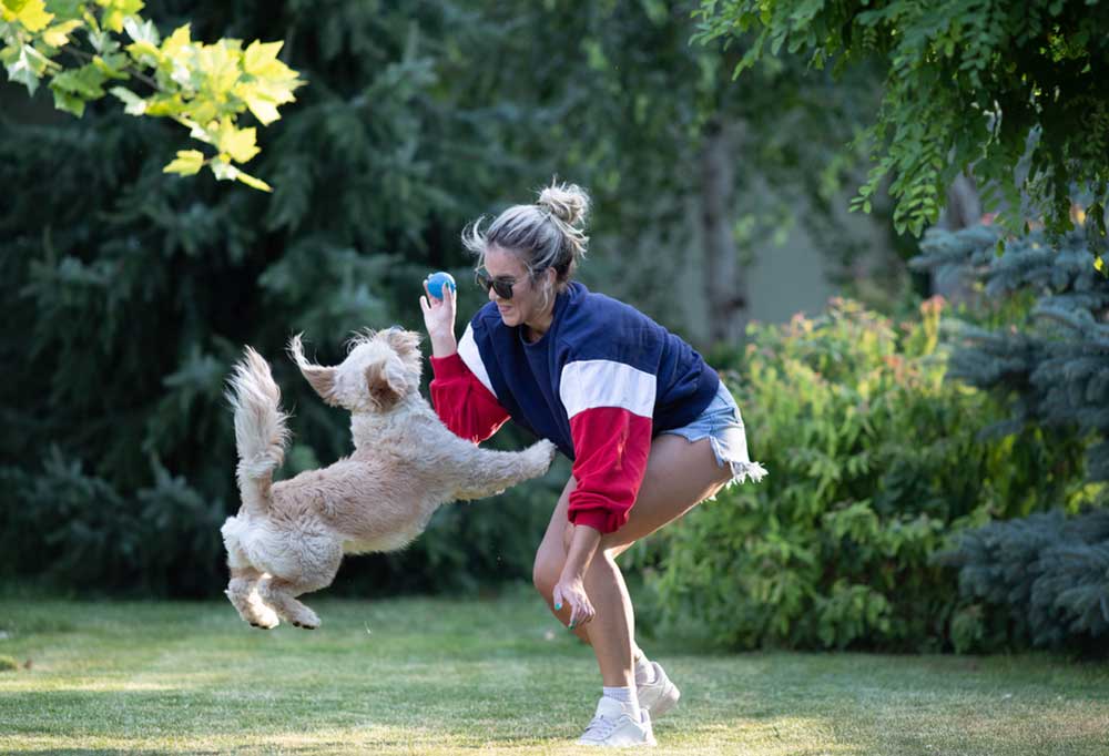 Training a Dog to Fetch a Ball
