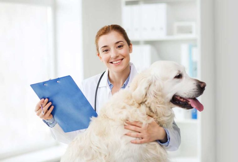 Spaying and Neutering It's not an easy question to answer