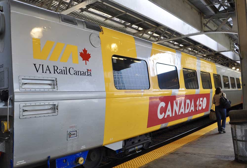 All you need to know about train travel for dogs