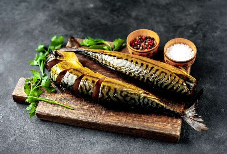 Can Dogs Eat Fried Fish?