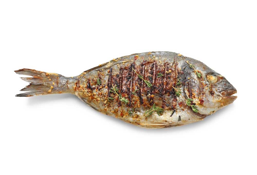 Can Dogs Eat Fish Bones?