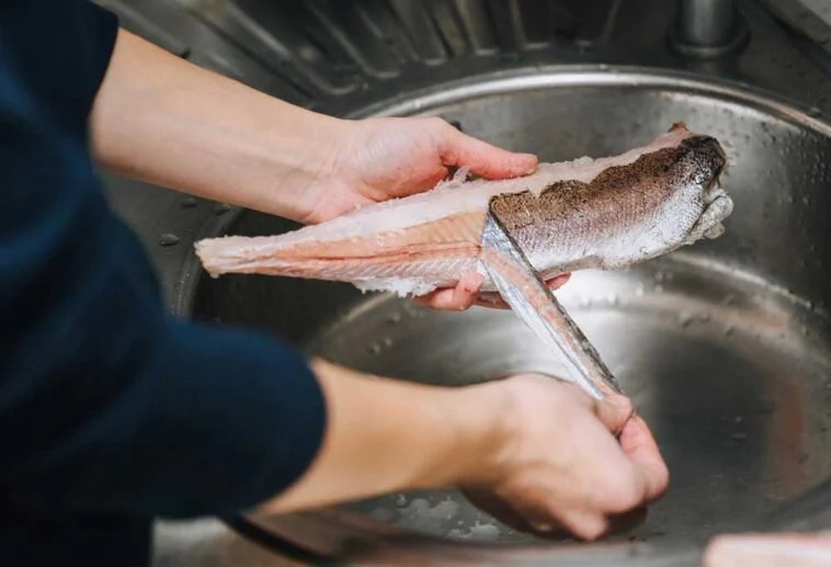 Can Dogs Eat Fish Skin?