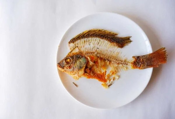 Can Dogs Eat Fish Bones?