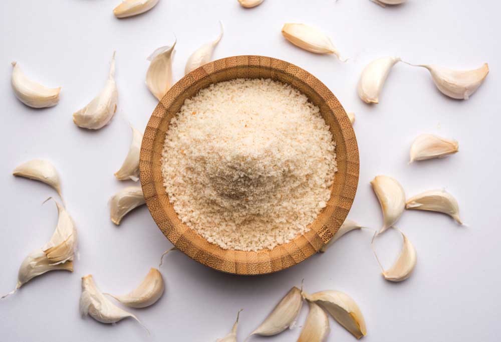 Can Dogs Have Garlic Powder?