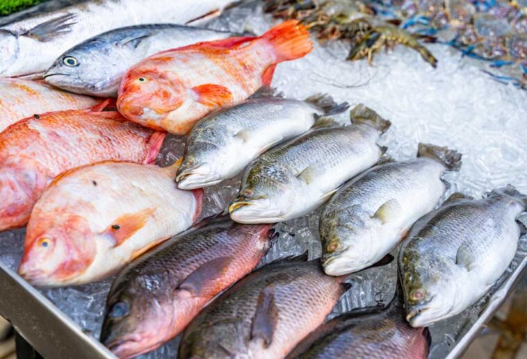 Can Dogs Eat Fried Fish?