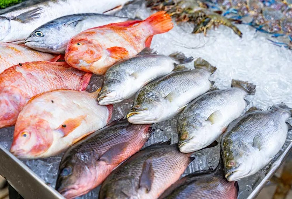 Is Fried Fish Good For Dogs