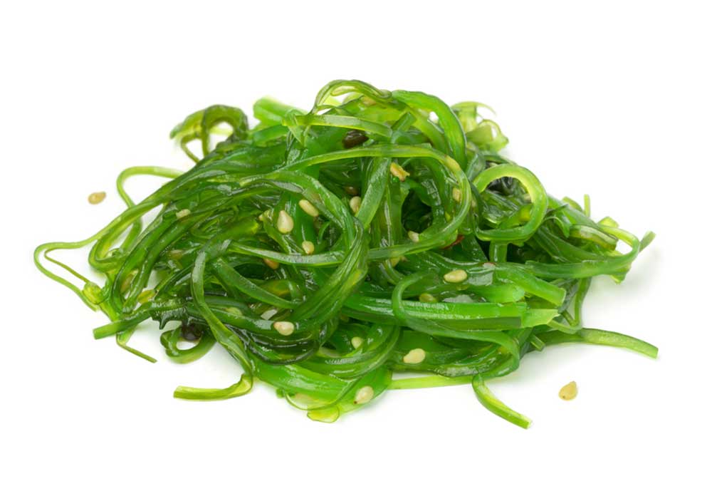 Can Dogs Eat Seaweed?