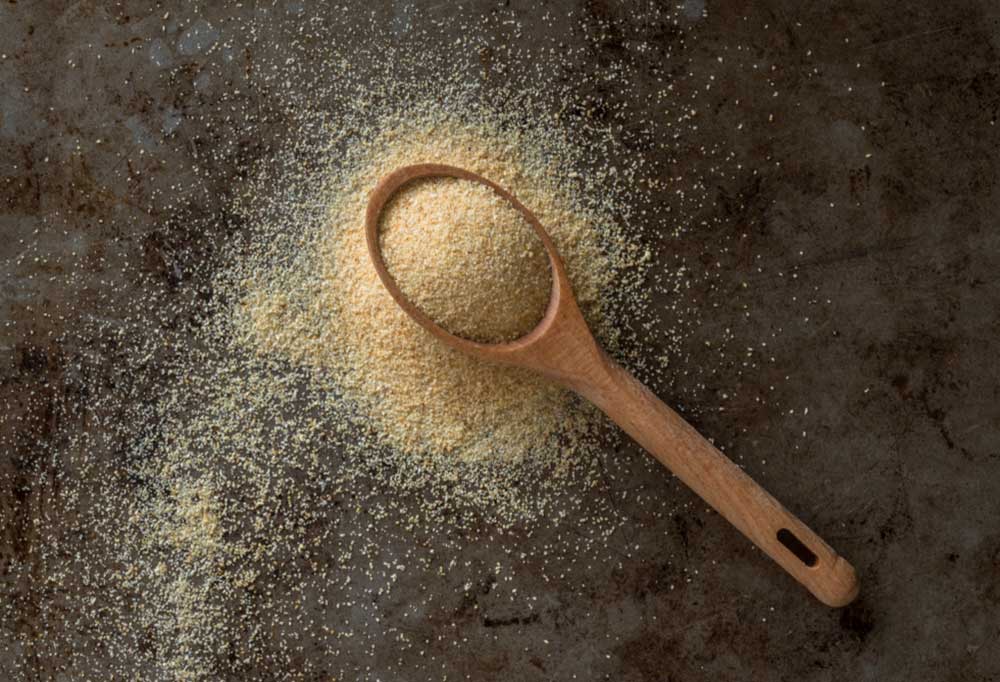 Can Dogs Have Garlic Powder?