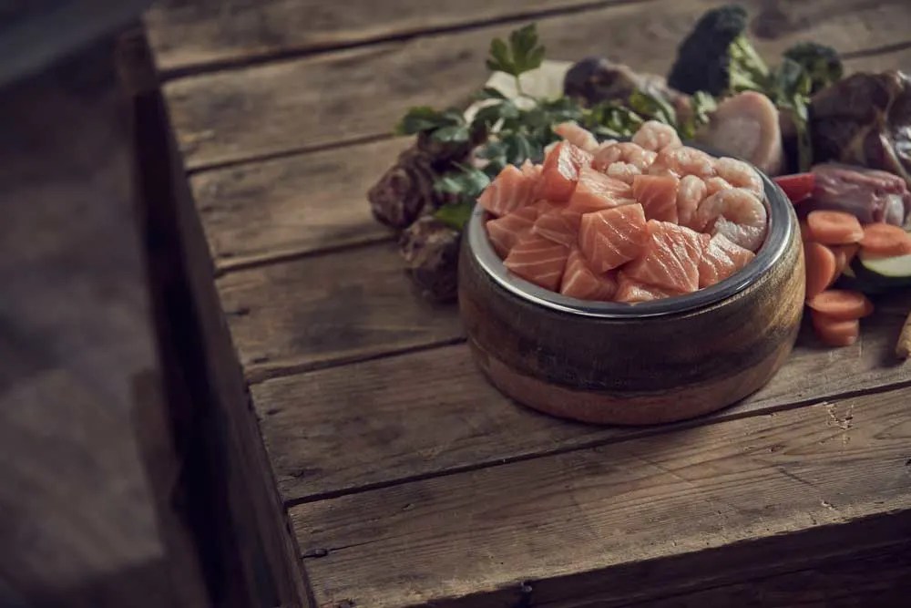 Is Fish Based Food Good For Dogs