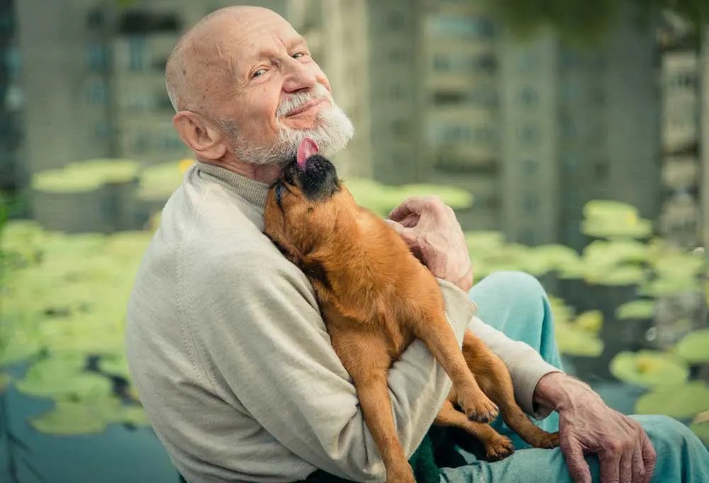 Why Do Old Dogs Groan