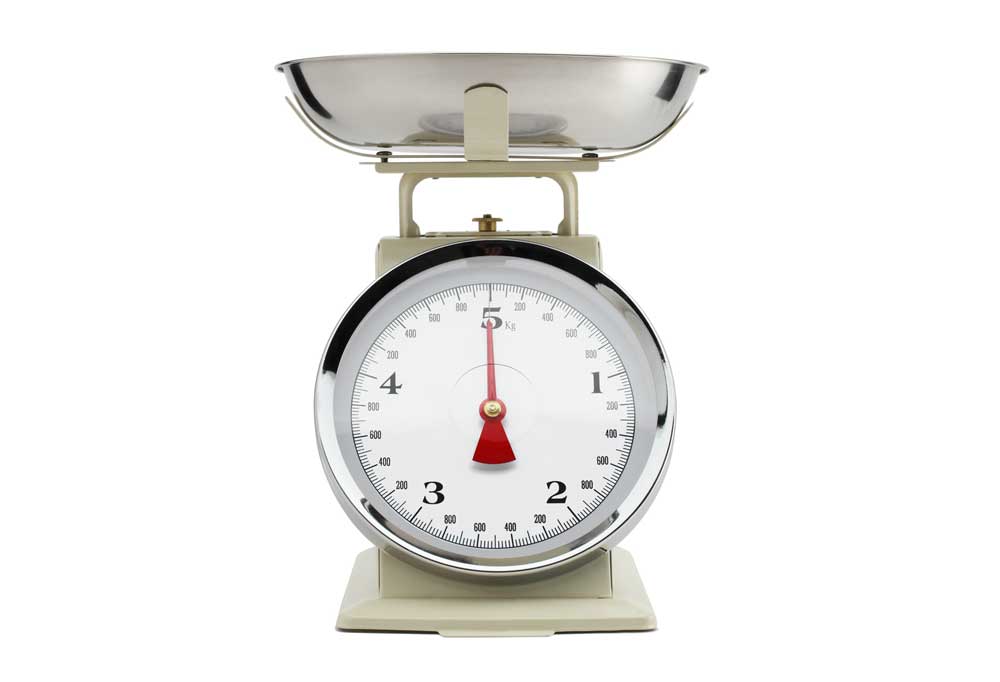 How Big Do Teacup Poodles Get?