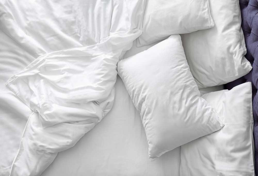 Do Fleas Live On Sheets at Sheri Isom blog