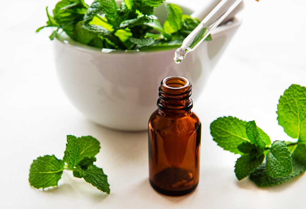 Does Peppermint Oil Kill Fleas on Dogs?