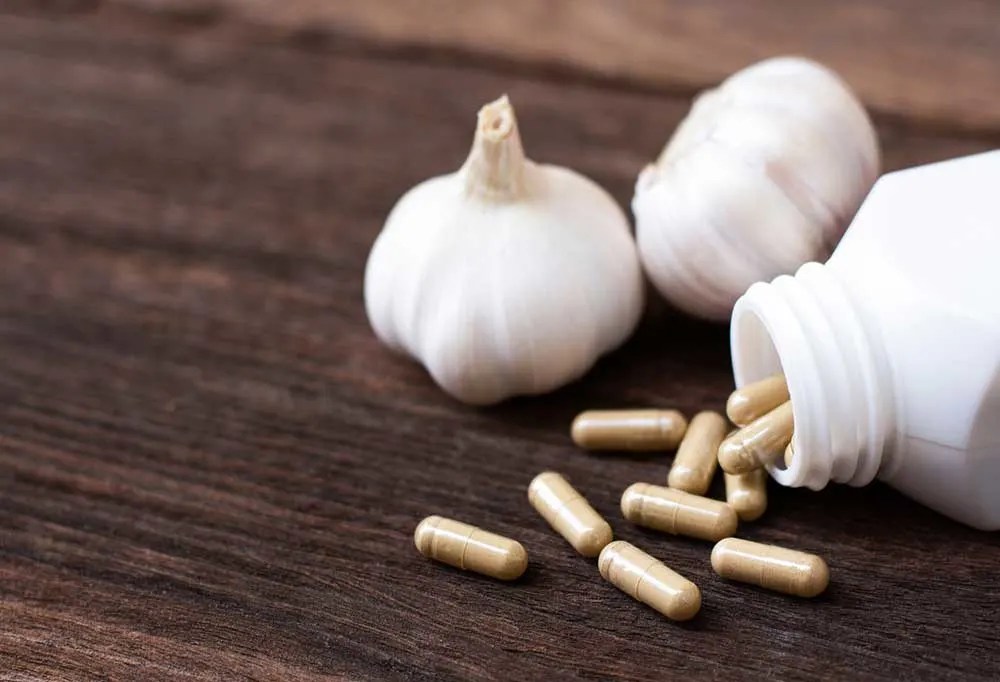 Do Garlic Pills Work for Fleas on Dogs?