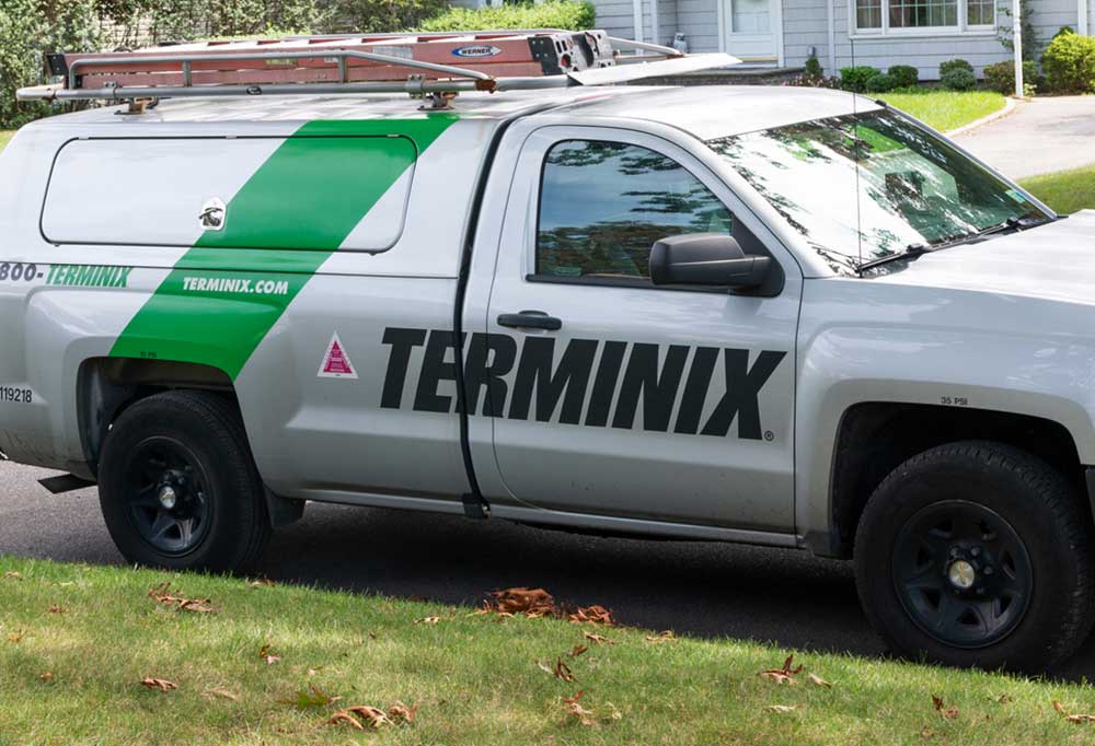 Do Pest Control Companies Spray for Fleas?