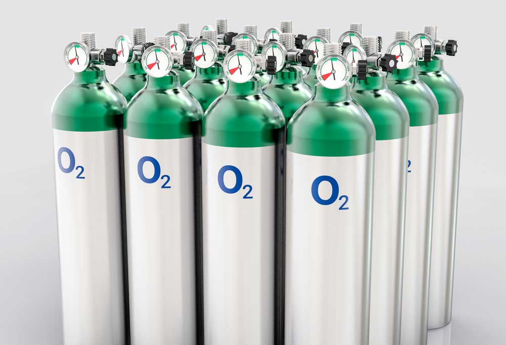 How Long Can Fleas Live After Bombing at Yvonne Vincent blog