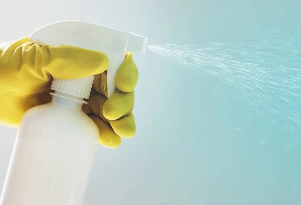 Do Garlic Pills Work for Fleas on Dogs?