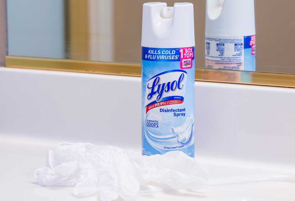 Does Bug Spray Help with Fleas?