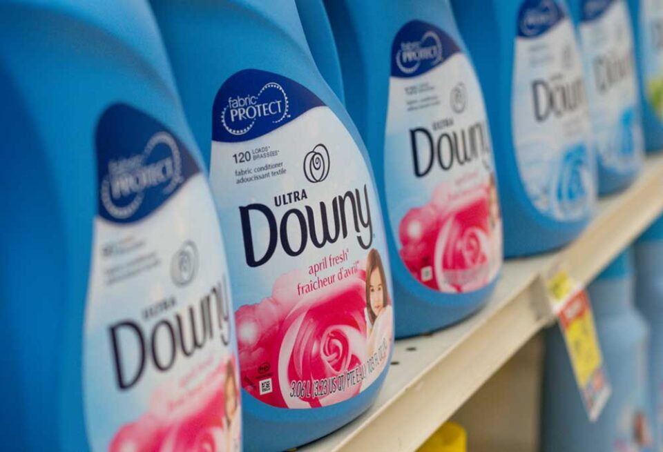 Do Dryer Sheets Repel Fleas?