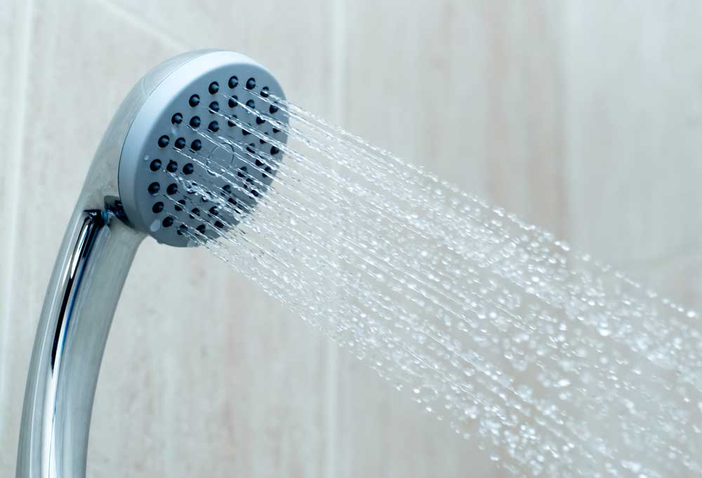 Do Fleas Bite Humans?