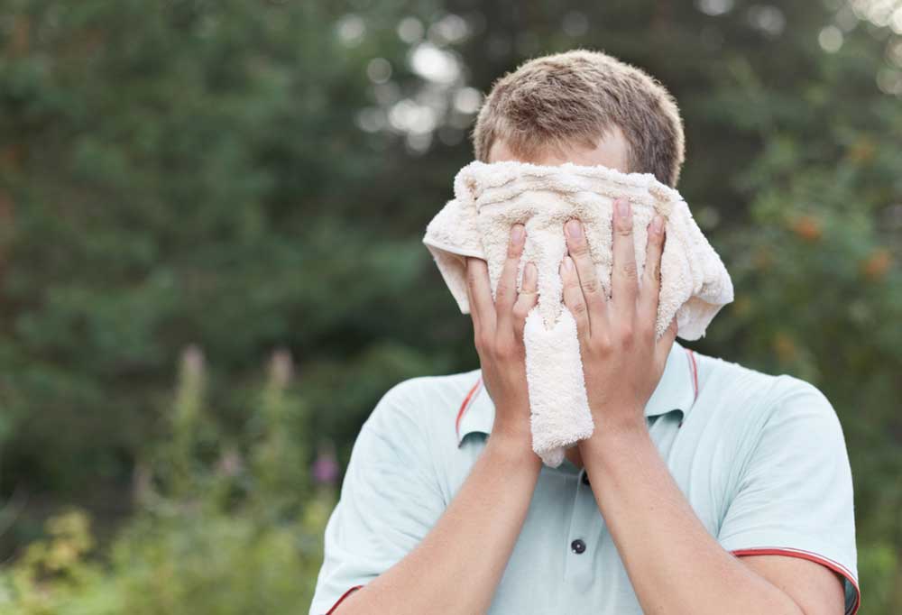 Does Deet Repel Fleas