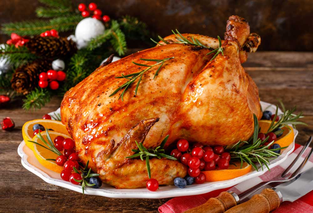 Is Turkey Better Than Chicken for Dogs?