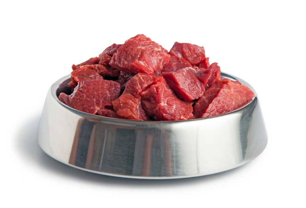 Can I Add Raw Ground Beef to My Dog's Food?