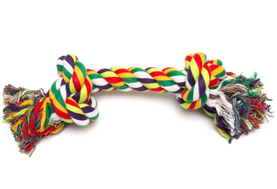 Are Ropes Good for Dog's Teeth?