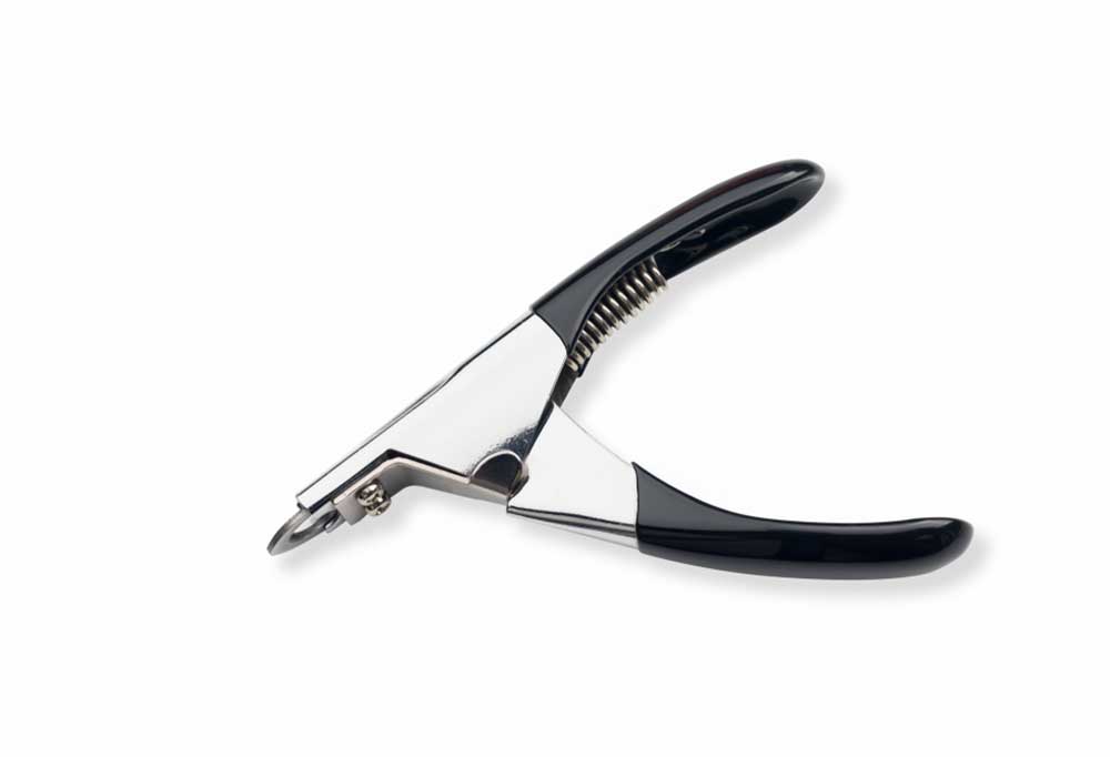 How to Cut an Uncooperative Dog's Nails - PatchPuppy.com