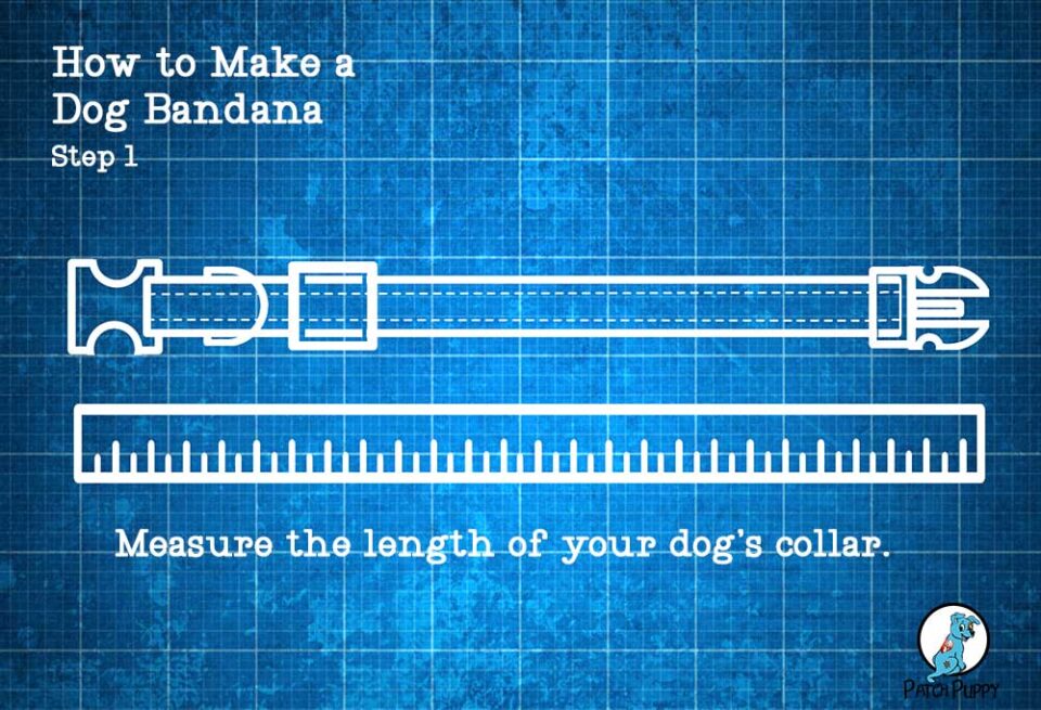 How to Make Dog Bandanas!