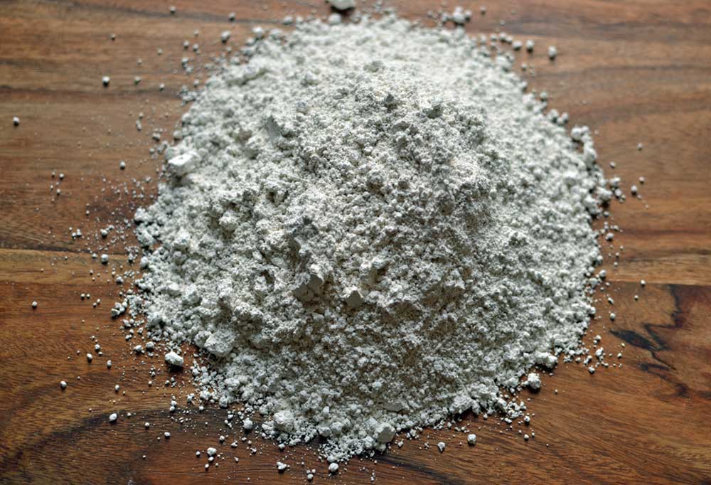 Diatomaceous Earth for Fleas and Ticks