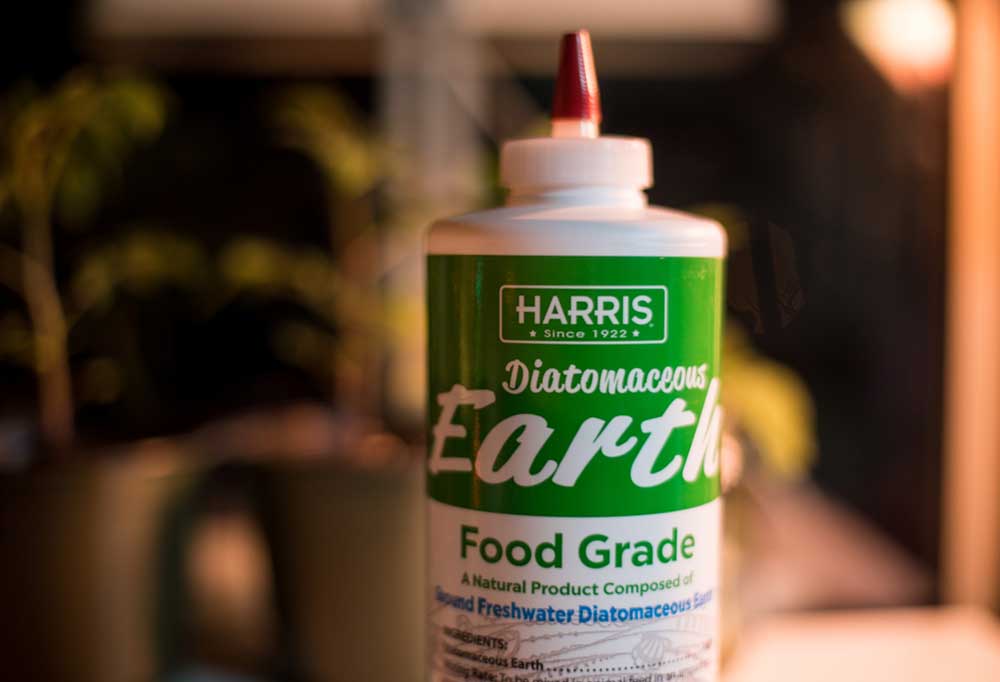 Is Diatomaceous Earth Safe for Dogs ?