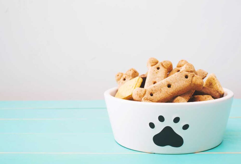 Homemade Hydrolyzed Protein Dog Treats